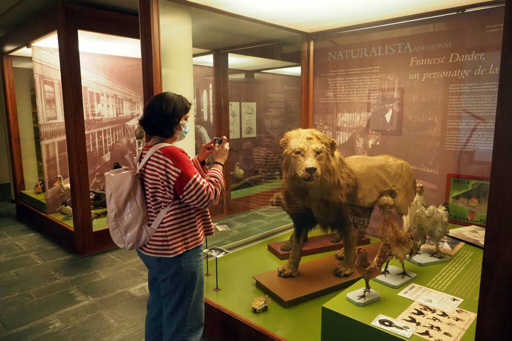 Museu Darder de Banyoles